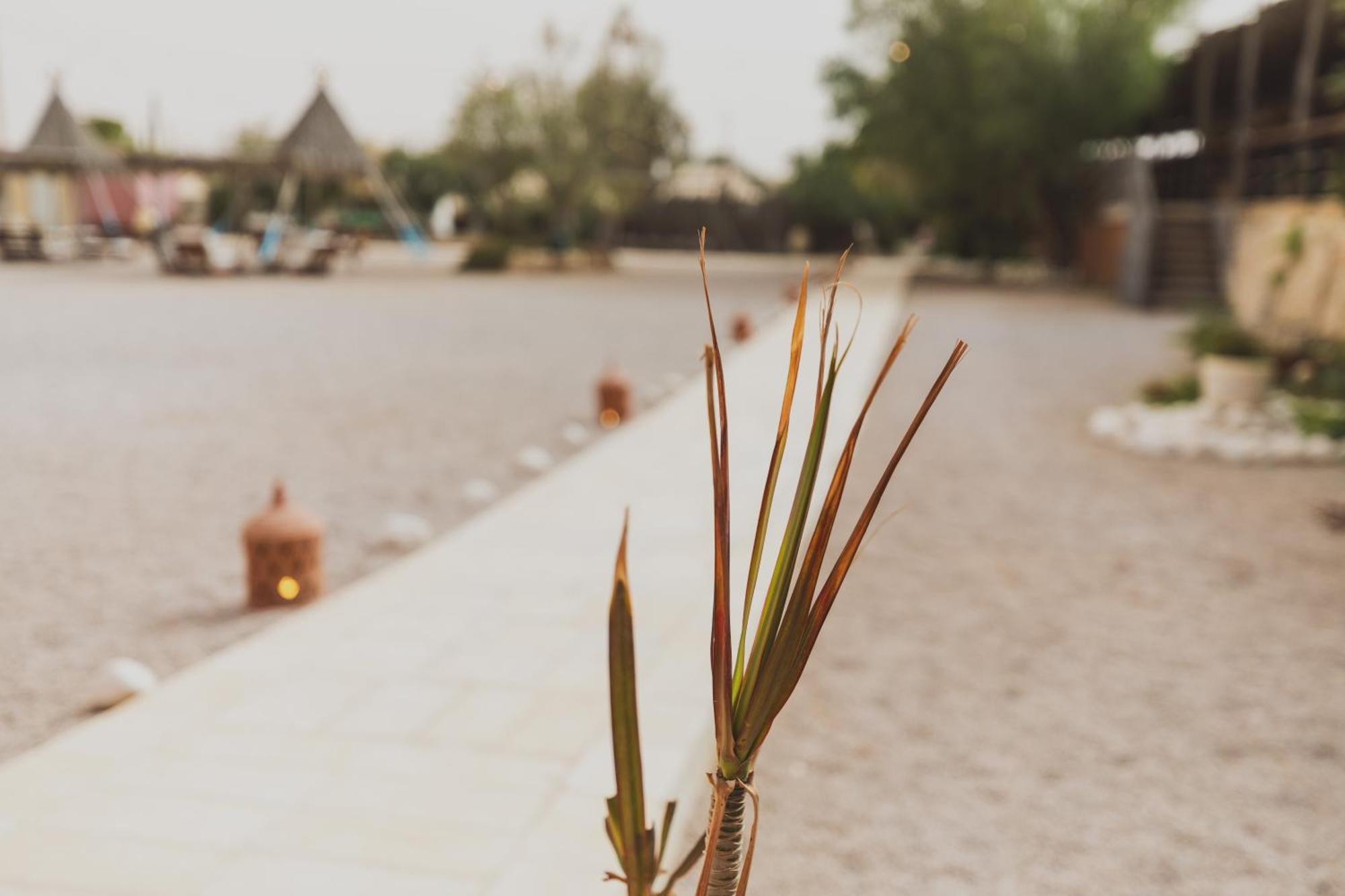 Jacob Mitzpe Ramon Hotel Exterior photo